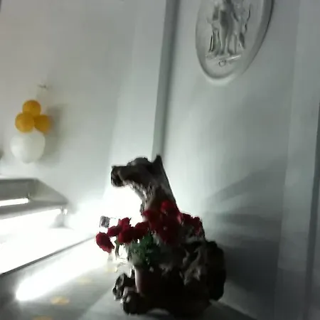 Panzió Don Carlo